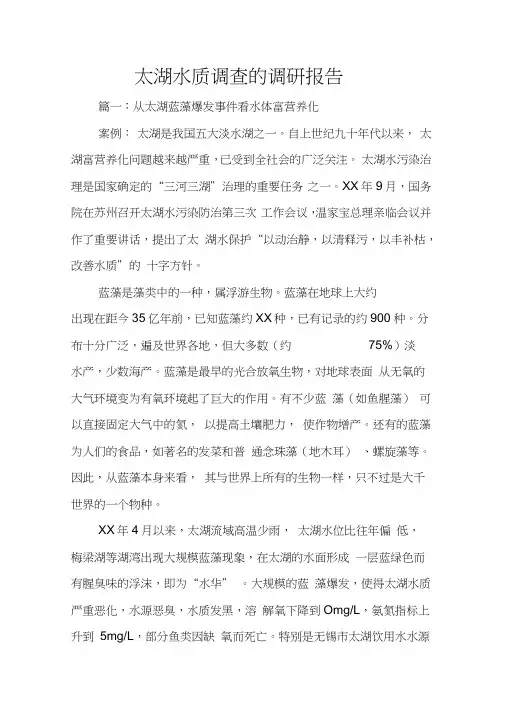太湖水质调查的调研报告
