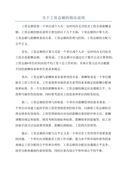 关于工资总额的情况说明