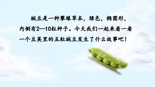 5一个豆荚里的五粒豆 课件(共41张PPT)