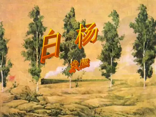 五年级上册语文课件-《白杨》｜北京版 (共张PPT)