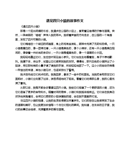 遇见四只小猫的故事作文