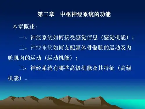 神经系统