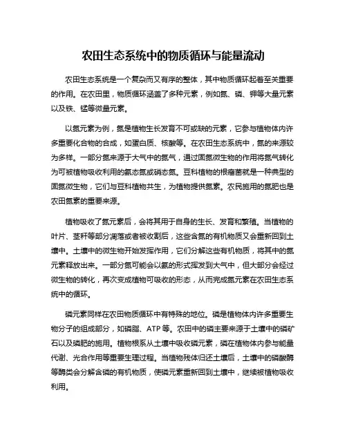 农田生态系统中的物质循环与能量流动