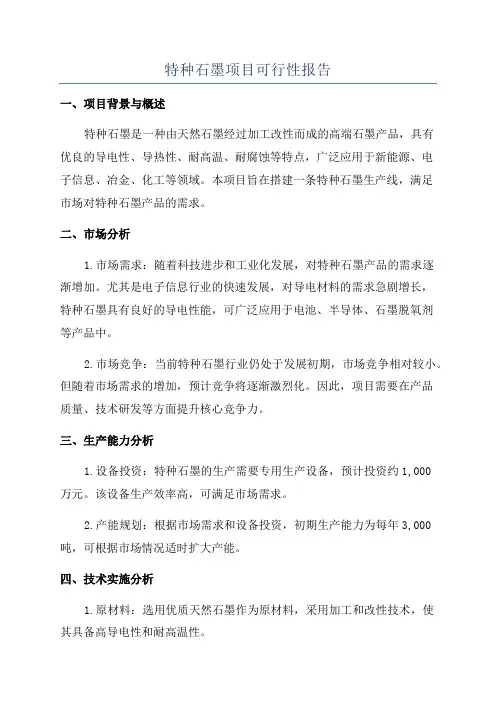 特种石墨项目可行性报告
