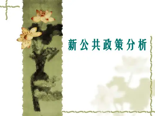 新公共政策分析2