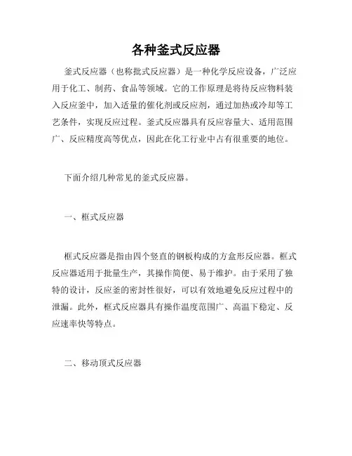 各种釜式反应器