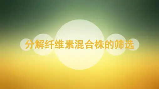 分解纤维素混合株的筛选PPT