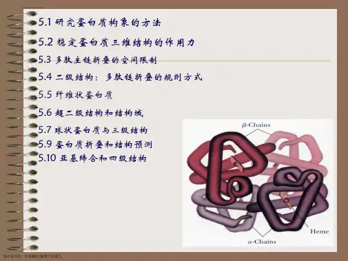 蛋白质的三维结构之二