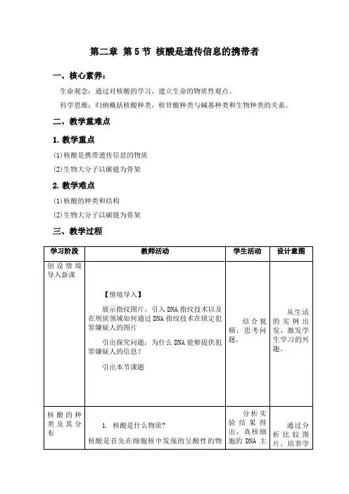 2.5 核酸是遗传信息的携带者 教案【新教材】人教版(2019)高中生物必修一