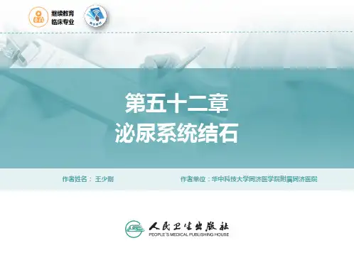 外科学(继教第4版)PPT课件 第52章 泌尿系结石