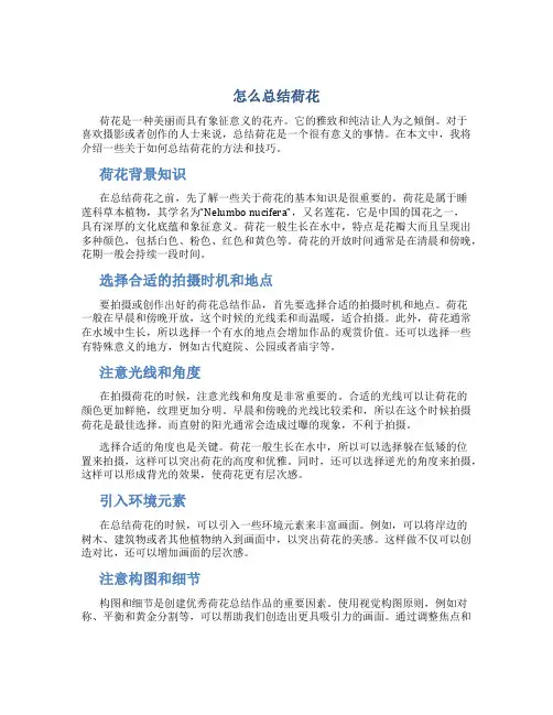 怎么总结荷花