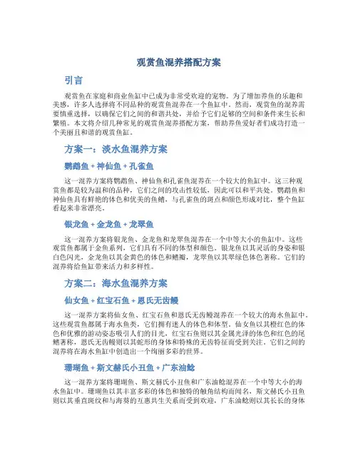 观赏鱼混养搭配方案