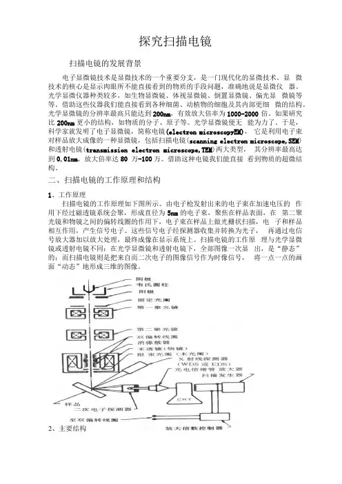 探究扫描电镜