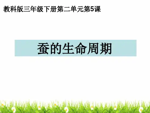 最新教科版科学三年级下册《蚕的生命周期》精品课件