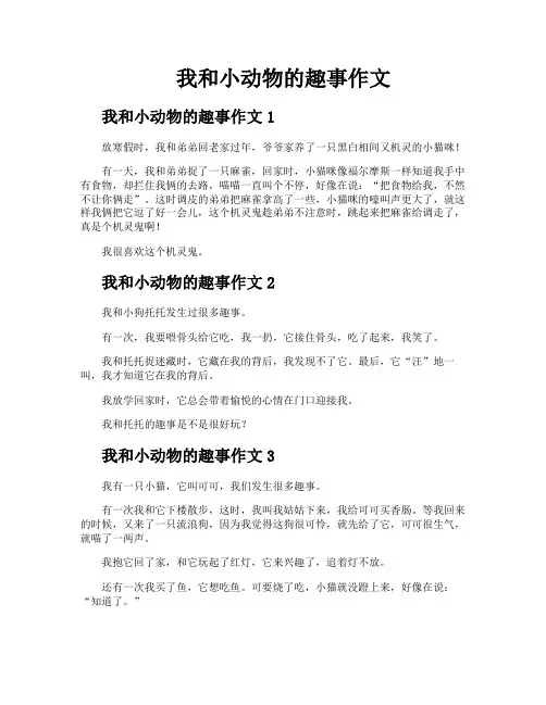 我和小动物的趣事作文