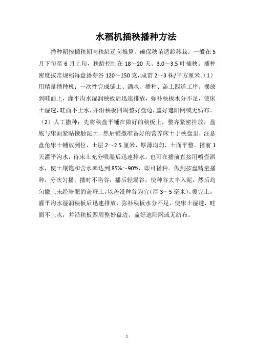 水稻机插秧播种方法