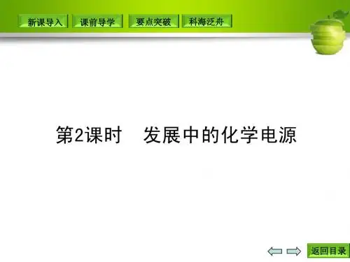 发展中的化学电源