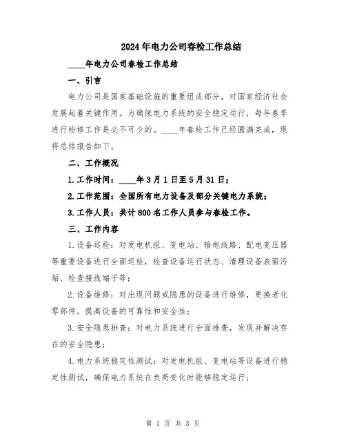 2024年电力公司春检工作总结 (2)