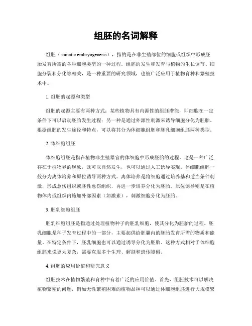 组胚的名词解释