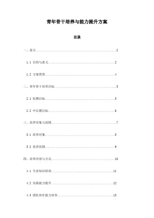 青年骨干培养与能力提升方案