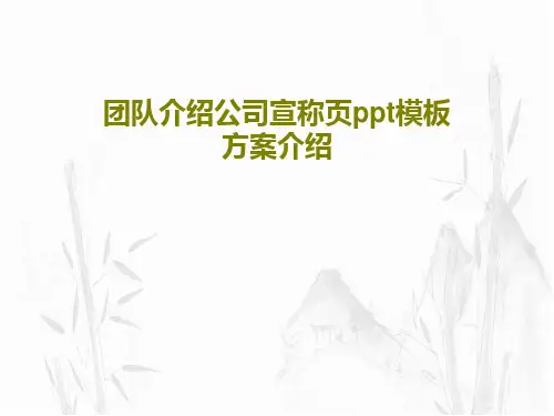 团队介绍公司宣称页ppt模板方案介绍共102页