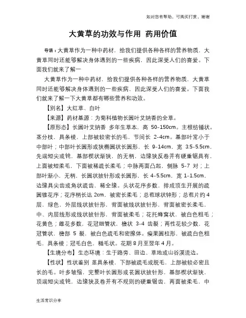 大黄草的功效与作用 药用价值