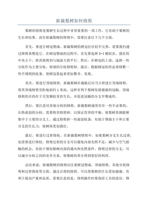 新栽梨树如何修剪