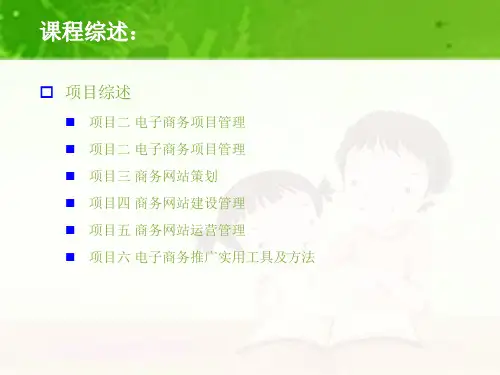 电子商务项目管理