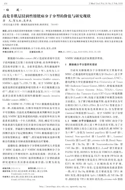 高危非肌层浸润性膀胱癌分子分型的价值与研究现状