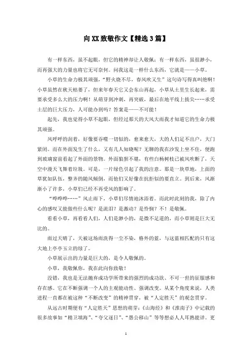 精选向XX致敬作文【3篇】