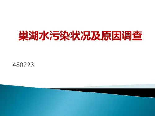 巢湖水污染状况及