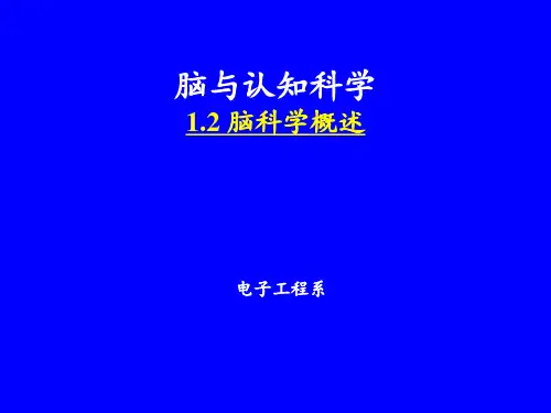 脑与认知- 脑科学概述 ppt课件