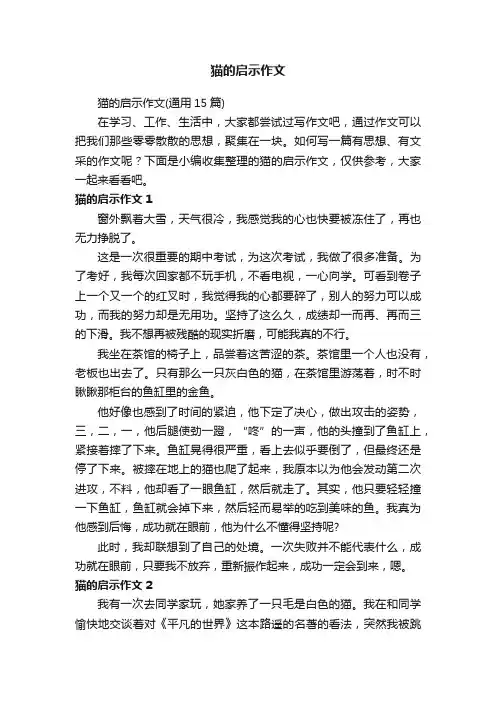 猫的启示作文（通用15篇）