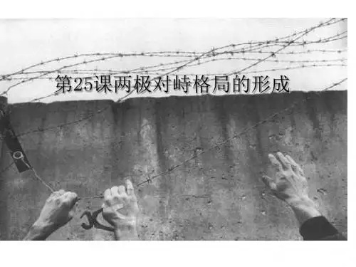 两极对峙格局的形成PPT课件10