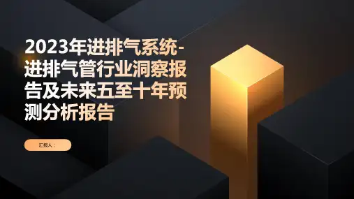 2023年进排气系统-进排气管行业洞察报告及未来五至十年预测分析报告