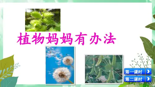植物妈妈有办法课件(共26张PPT)