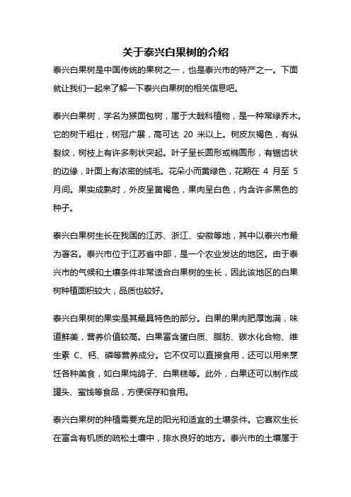 关于泰兴白果树的介绍