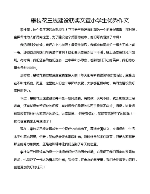 攀枝花三线建设获奖文章小学生优秀作文