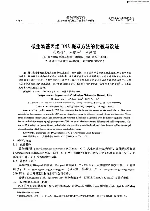 微生物基因组DNA提取方法的比较与改进
