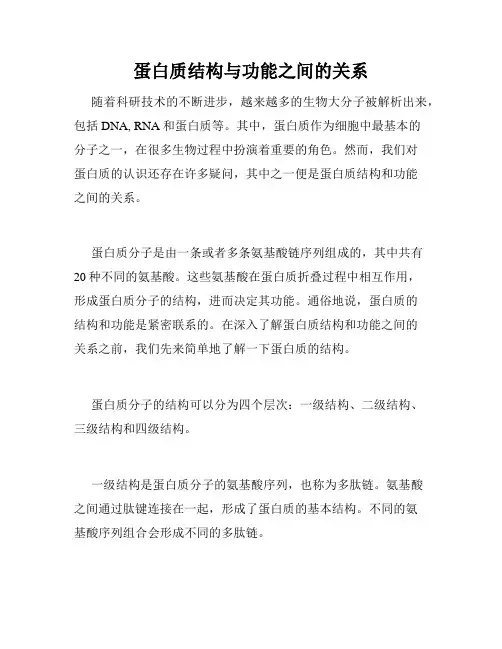 蛋白质结构与功能之间的关系