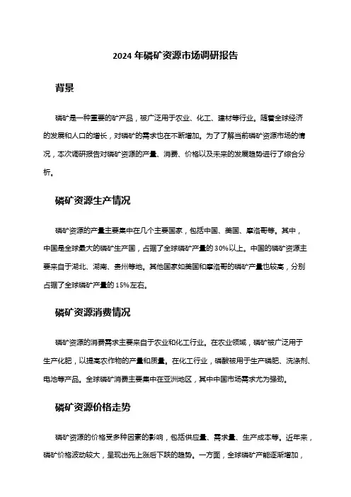 2024年磷矿资源市场调研报告