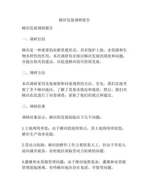 梯田发展调研报告