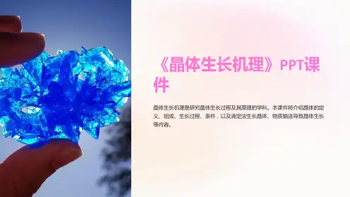 《晶体生长机理》课件
