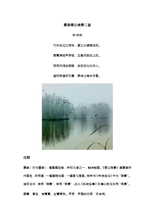 苏轼《惠崇春江晚景二首》全诗译文及赏析