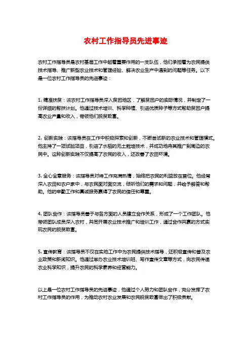 农村工作指导员先进事迹