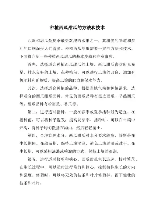 种植西瓜甜瓜的方法和技术