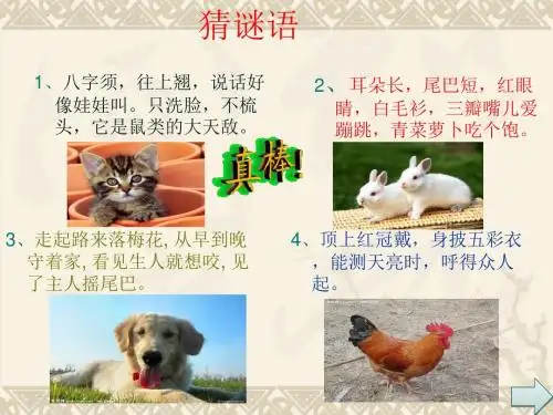 有关动物的作文PPT PPT课件