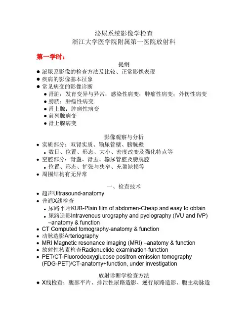 泌尿系统影像学检查