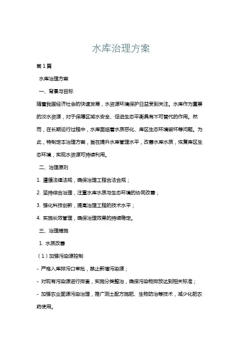 水库治理方案