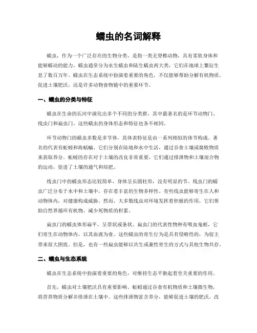 蠕虫的名词解释